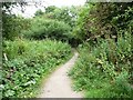 SE4030 : Bridleway heading south through Townclose Hills by Christine Johnstone