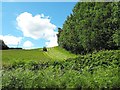 SO0892 : Mowing near Rhyd-y-felin by Penny Mayes