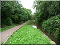 SK3872 : The Chesterfield Canal north of Tapton Mill bridge by Christine Johnstone