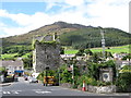 J1811 : Taaffes Castle and Slieve Foye from the R176 by Eric Jones