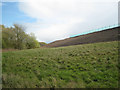 SP2085 : Newly planted bank, Packington landfill site by Robin Stott