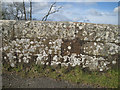 SP2185 : Pale grey lichen on a pink-brown sandstone parapet by Robin Stott