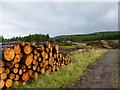 NS7382 : Forestry track and log piles (1), Kilsyth Hills by Alan O'Dowd