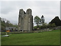 NY5415 : Shap  Abbey by Martin Dawes