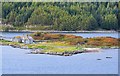 NC2234 : Northern slipway, Kylesku ferry by Jim Barton