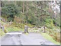 NY2322 : Newlands Road Cattle Grid by Gordon Griffiths