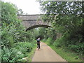 NZ0747 : Waskerley Way Cycle Route passing under Old Railway Bridge by Les Hull