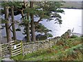 NY1617 : Crummock Water Gate by Gordon Griffiths