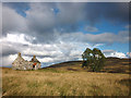 NN9861 : Ruined cottage and tree, Badyo by Karl and Ali