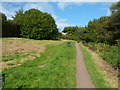 ST2987 : Path through a nature conservation area near Vancouver Drive, Newport by Jaggery