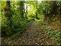 NS4473 : Former driveway to Auchentorlie House by Lairich Rig