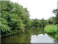 SO9487 : The Dudley No 2 Canal, Primrose Hill by Christine Johnstone