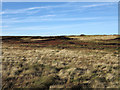 NY7923 : Moorland north of White Sike by Trevor Littlewood