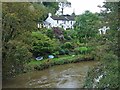 SX4372 : River Tamar near Gunnislake by Robin Drayton