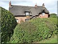 SK2125 : Thatched Cottage, Anslow by Christine Johnstone