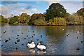 TL1406 : Verulamium Lake by Ian Capper