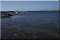 HY2913 : Loch of Harray, at Brodgar by Christopher Hilton