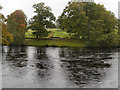 NY9170 : River North Tyne at Chesters Bridge by David Dixon