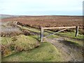 NZ6408 : The gated track to Kempswithen Heights by Christine Johnstone