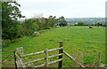 SP1618 : Cattle pasture near Clapton by Graham Horn