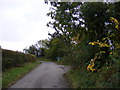 TM4072 : Road near South Manor Farm by Geographer