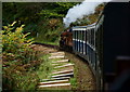 NY1500 : Approaching Fisherground Station, Eskdale, Cumbria by Peter Trimming