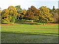 NS8979 : Autumn trees in Callendar Park by M J Richardson