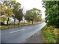 NZ2426 : Spout Lane, Shildon by Christine Johnstone