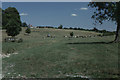 SU0124 : Fifield Bavant: view towards the church along the dry River Ebble by Christopher Hilton