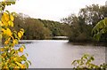 SU1781 : The Heronry at Coate Water by Steve Daniels