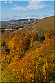 TQ2452 : Colley Pits and The Saddle Knob by Ian Capper