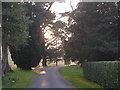 SX9476 : Entrance drive, Luscombe Park by Derek Harper