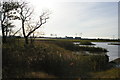 NZ5023 : RSPB Saltholme: view across the pond outside the visitor centre by Christopher Hilton