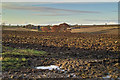 TA0120 : Ploughed Field off Horkstow Road by David Wright