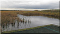 TQ5379 : Viewing platform and pond by Roger Jones