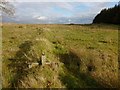 NS4660 : Remains of a field dyke by Lairich Rig