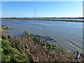 TL2598 : On the bank of the swollen River Nene - The Nene Washes by Richard Humphrey