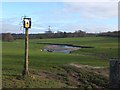 ST1601 : River Otter at Clapper Lane Bridge by David Smith