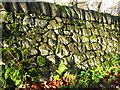 SK2378 : Superb dry-stone wall by Graham Cole