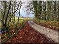 SE1545 : Access Lane to Scalebor Park Farm by Chris Heaton