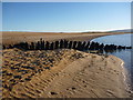 NT6480 : Coastal East Lothian : Shipwreck On Tyne Sands by Richard West