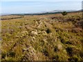 NS4481 : Remains of a boundary by Lairich Rig