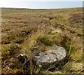 NS4481 : Unfinished millstone beside the Finland Burn by Lairich Rig