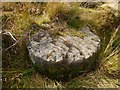 NS4481 : Unfinished millstone beside the Finland Burn by Lairich Rig