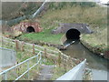 SP0483 : Bourn Brook by Chris Allen