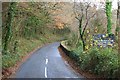 SX5363 : Hidden sign on the Shaugh Bridge Road by roger geach