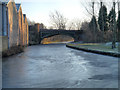 SJ9398 : Frozen Canal by David Dixon