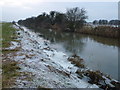 TF3902 : Morton's Leam in winter - The Nene Washes by Richard Humphrey