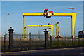 J3574 : The most famous cranes in Belfast by Rossographer