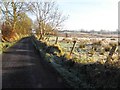 H5374 : Heading north-east along Cloghan Road by Kenneth  Allen